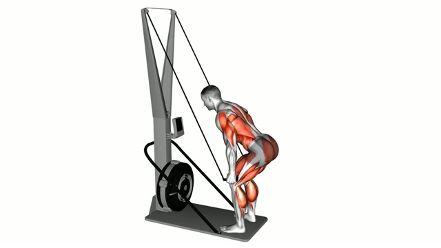SkiErg Hyrox